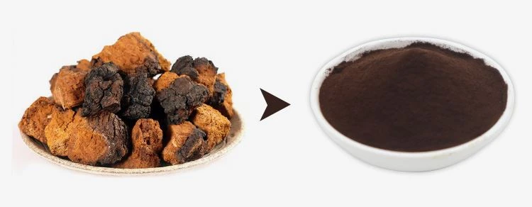 Chaga Extract Powder 1 Chaga Extract Powder 1