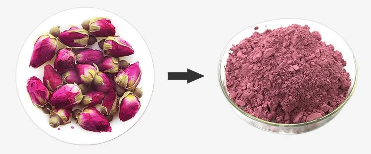 Rose Flower Powder 1 Rose Flower Powder 1