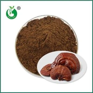 A Ganoderma spórapor hatásai és ellenjavallatai