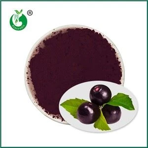 Tiszta Acai por