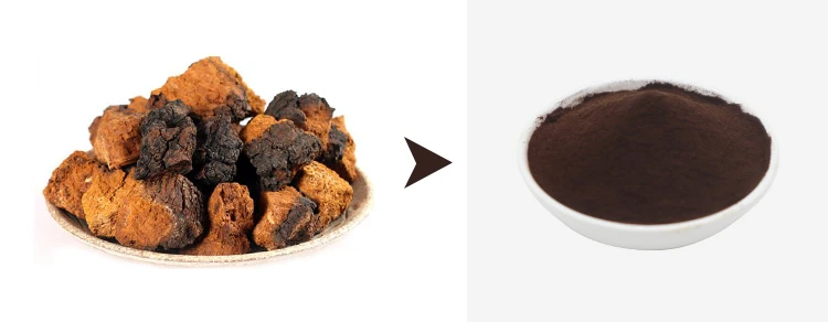 chaga extract chaga extract