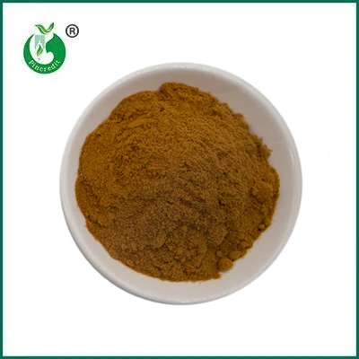 Pincredit Hot Sale bio gomba kivonat por