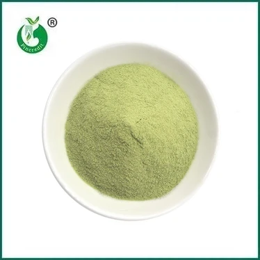 ÚJ ÉRKEZÉS: Matcha Latte Powder