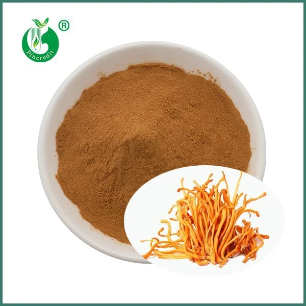 Cordyceps Militaris kivonatpor