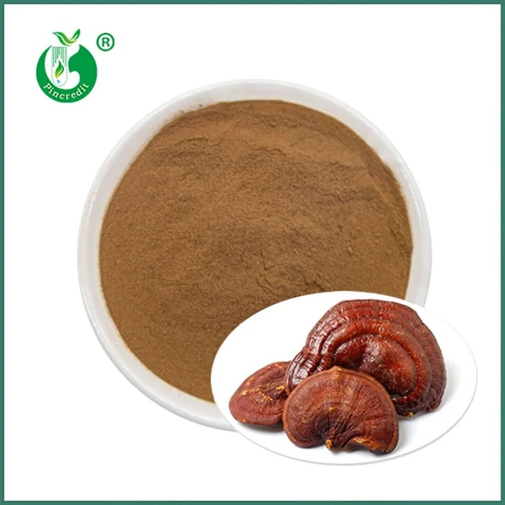Reishi kivonat por