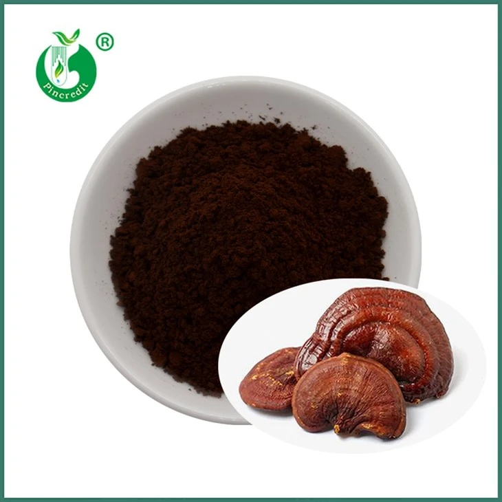 Reishi Spore por